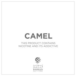 Camel Filter King Size 200 Sticks